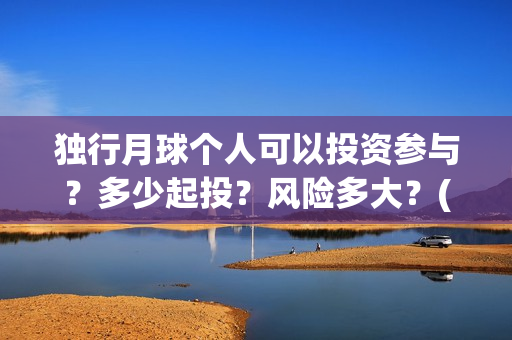 独行月球个人可以投资参与？多少起投？风险多大？(独行月球结局什么意思)