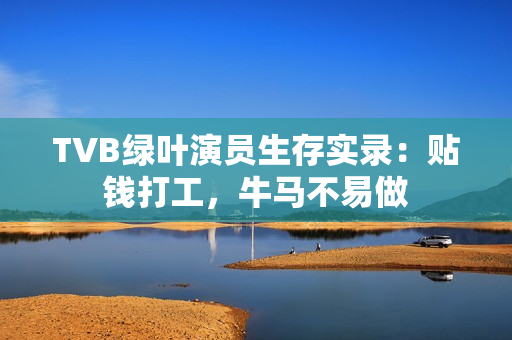 TVB绿叶演员生存实录：贴钱打工，牛马不易做