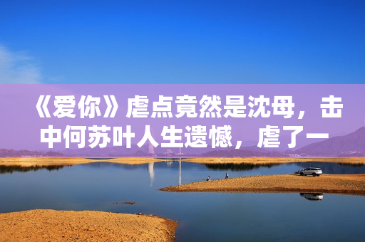 《爱你》虐点竟然是沈母，击中何苏叶人生遗憾，虐了一个大的