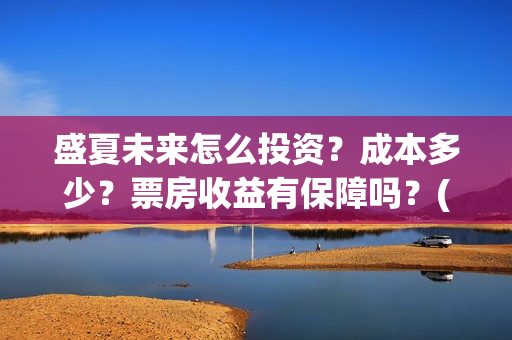 盛夏未来怎么投资？成本多少？票房收益有保障吗？(盛夏未来哪个平台)