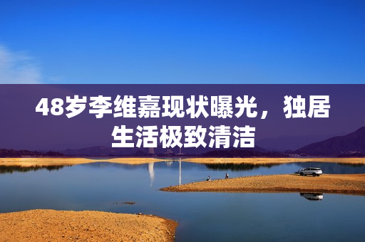 48岁李维嘉现状曝光，独居生活极致清洁
