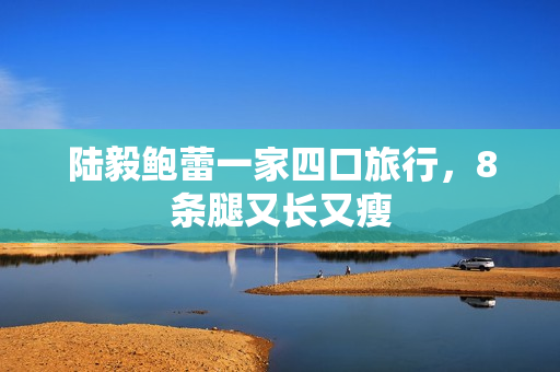 陆毅鲍蕾一家四口旅行，8条腿又长又瘦