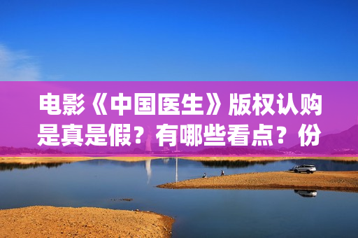 电影《中国医生》版权认购是真是假？有哪些看点？份额多少钱一份？(电影《中国医生》)