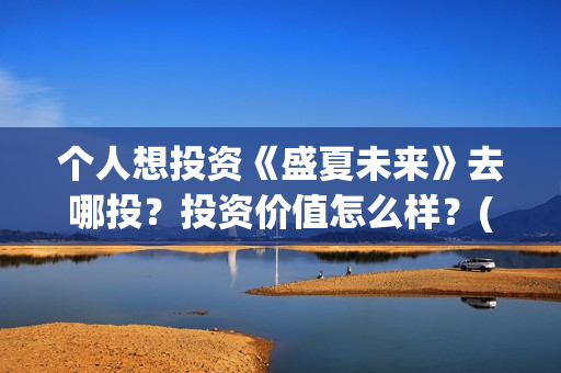 个人想投资《盛夏未来》去哪投？投资价值怎么样？(个人投资做什么好)