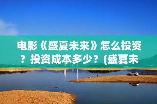 电影《盛夏未来》怎么投资？投资成本多少？(盛夏未来 电影简介)