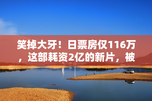 笑掉大牙！日票房仅116万，这部耗资2亿的新片，被哪吒2打懵了