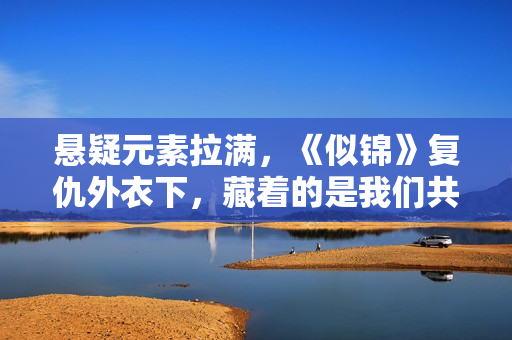 悬疑元素拉满，《似锦》复仇外衣下，藏着的是我们共通的价值证明