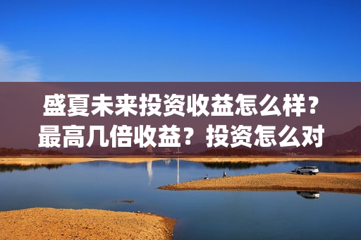 盛夏未来投资收益怎么样？最高几倍收益？投资怎么对接？(盛夏未来投资收益怎么样)