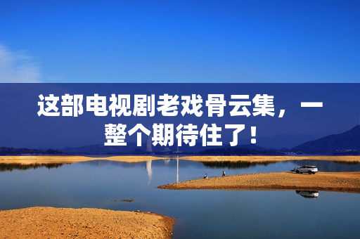 这部电视剧老戏骨云集，一整个期待住了！