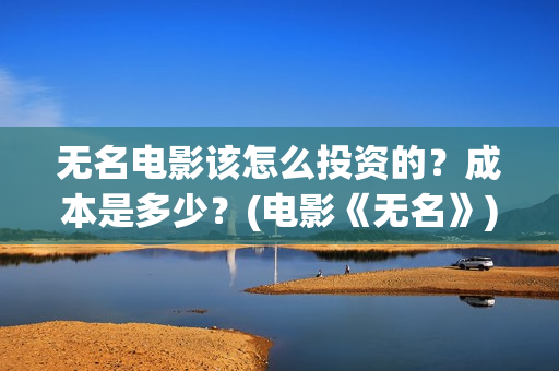 无名电影该怎么投资的？成本是多少？(电影《无名》)