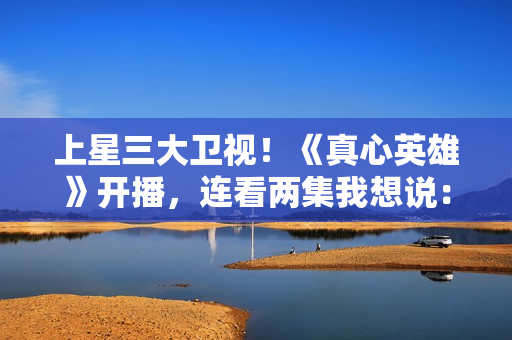 上星三大卫视！《真心英雄》开播，连看两集我想说：这才叫刑侦剧