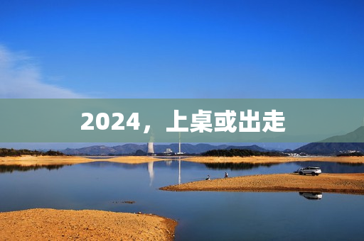 2024，上桌或出走