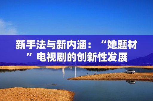 新手法与新内涵：“她题材”电视剧的创新性发展