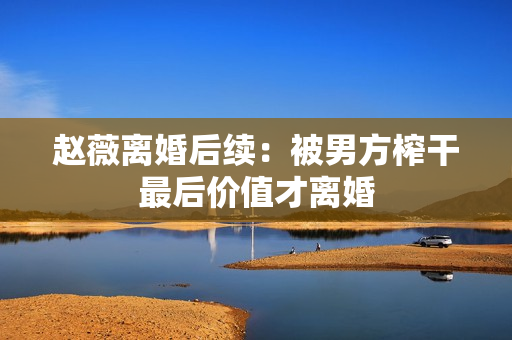 赵薇离婚后续：被男方榨干最后价值才离婚