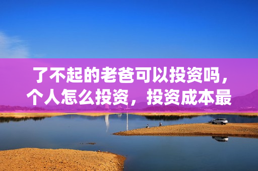 了不起的老爸可以投资吗，个人怎么投资，投资成本最低多少？(了不起的老爸 真人真事)