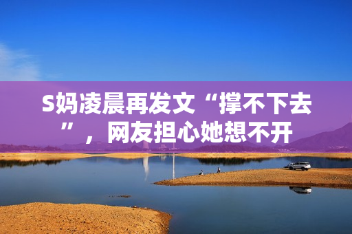 S妈凌晨再发文“撑不下去”，网友担心她想不开