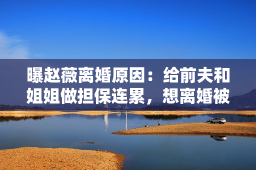 曝赵薇离婚原因：给前夫和姐姐做担保连累，想离婚被男方拖了两年