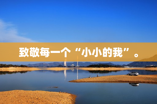 致敬每一个“小小的我”。