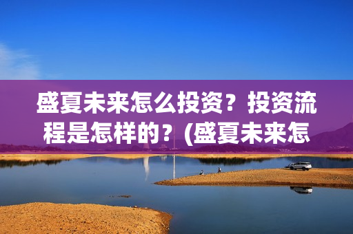 盛夏未来怎么投资？投资流程是怎样的？(盛夏未来怎么投资)