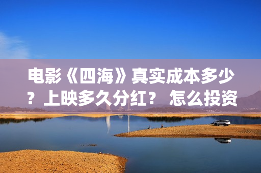 电影《四海》真实成本多少？上映多久分红？ 怎么投资？(电影《四海》真名叫什么)