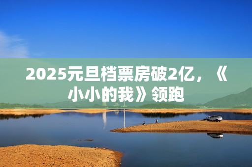 2025元旦档票房破2亿，《小小的我》领跑