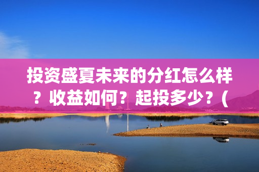 投资盛夏未来的分红怎么样？收益如何？起投多少？(盛夏未来总投资)