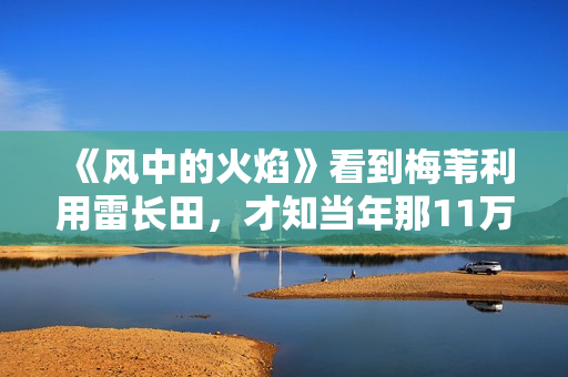 《风中的火焰》看到梅苇利用雷长田，才知当年那11万到底被谁拿走
