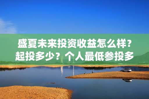 盛夏未来投资收益怎么样？起投多少？个人最低参投多少？(盛夏未来总投资)