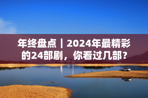 年终盘点｜2024年最精彩的24部剧，你看过几部？