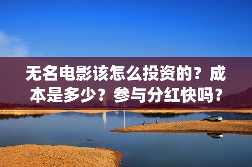 无名电影该怎么投资的？成本是多少？参与分红快吗？(电影《无名》)
