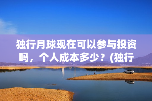 独行月球现在可以参与投资吗，个人成本多少？(独行月球结局什么意思)