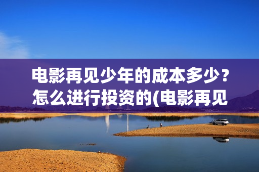 电影再见少年的成本多少？怎么进行投资的(电影再见少年的演员表)