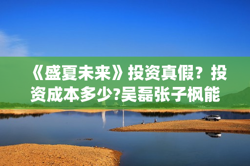 《盛夏未来》投资真假？投资成本多少?吴磊张子枫能吸多少票房？(《盛夏未来》上映)