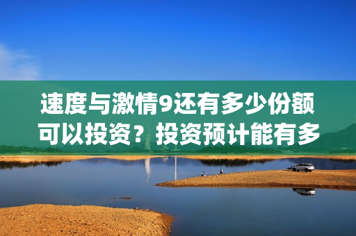 速度与激情9还有多少份额可以投资？投资预计能有多少收益？(速度与激情9nobody)