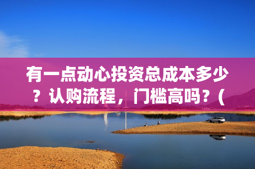 有一点动心投资总成本多少？认购流程，门槛高吗？(有一点动心出品方)