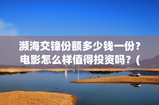 濒海交锋份额多少钱一份？电影怎么样值得投资吗？(濒海交锋都谁投资了)