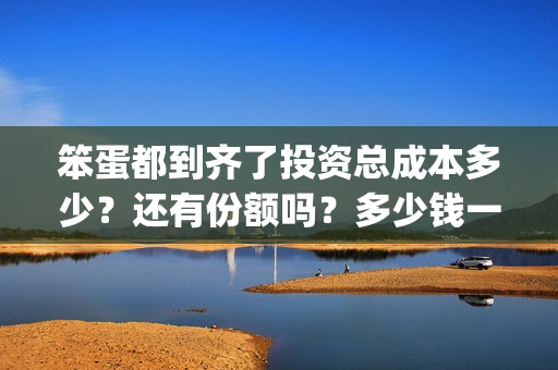 笨蛋都到齐了投资总成本多少？还有份额吗？多少钱一份？(笨蛋idiot)