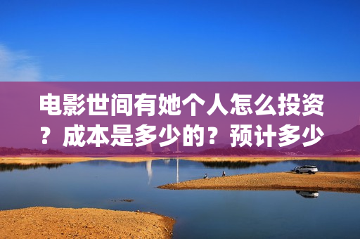 电影世间有她个人怎么投资？成本是多少的？预计多少票房？(世间有她电影现在什么情况)