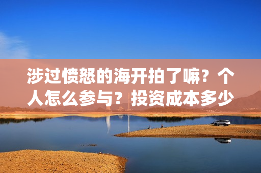 涉过愤怒的海开拍了嘛？个人怎么参与？投资成本多少？(涉过愤怒的海开机杀青时间)