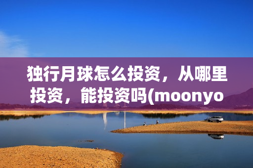 独行月球怎么投资，从哪里投资，能投资吗(moonyou-独行月球)