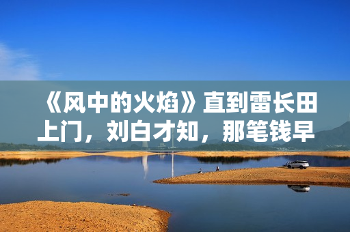 《风中的火焰》直到雷长田上门，刘白才知，那笔钱早已被梅苇拿走