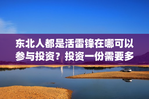 东北人都是活雷锋在哪可以参与投资？投资一份需要多少钱？(东北人都是活雷锋 歌词)