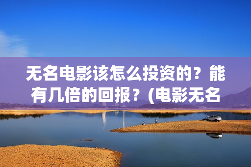 无名电影该怎么投资的？能有几倍的回报？(电影无名剧情介绍)