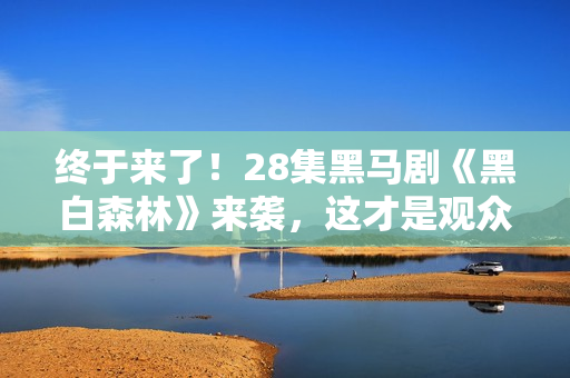 终于来了！28集黑马剧《黑白森林》来袭，这才是观众爱看的刑侦剧