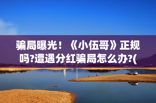 骗局曝光！《小伍哥》正规吗?遭遇分红骗局怎么办?(小型骗局)