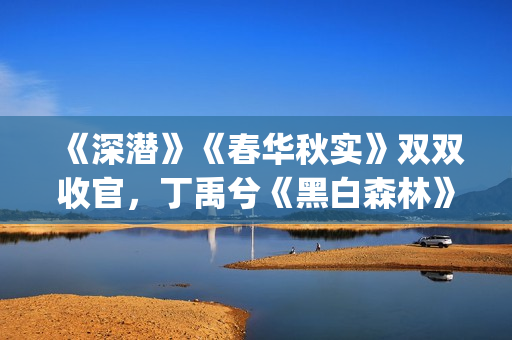 《深潜》《春华秋实》双双收官，丁禹兮《黑白森林》定档|剧日报
