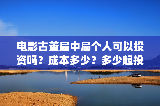 电影古董局中局个人可以投资吗？成本多少？多少起投？(许愿鉴宝电影古董局中局)