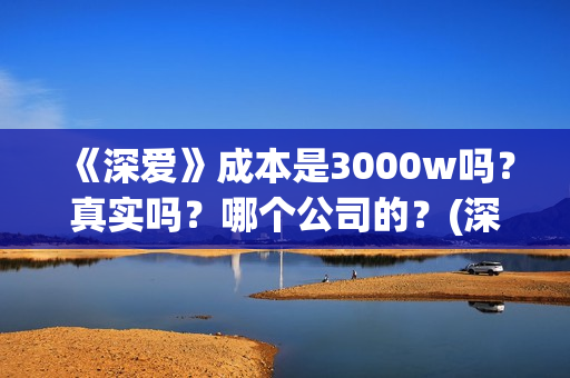 《深爱》成本是3000w吗？真实吗？哪个公司的？(深爱编剧)