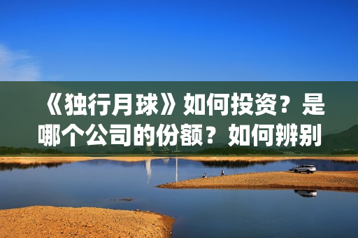《独行月球》如何投资？是哪个公司的份额？如何辨别？(moonyou-独行月球)