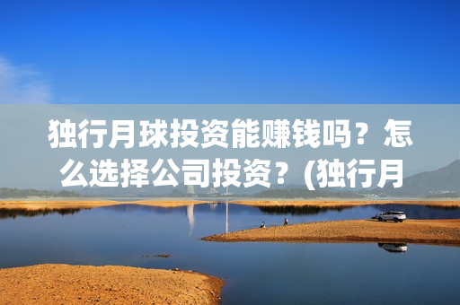 独行月球投资能赚钱吗？怎么选择公司投资？(独行月球投资方)
